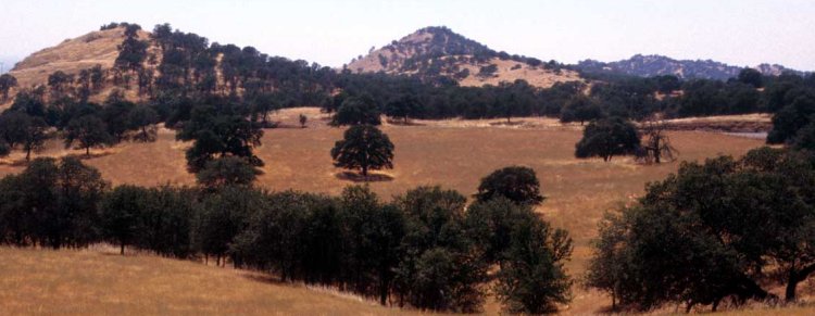 California Hills