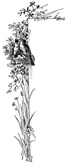 THE Acceptable Sacrifice