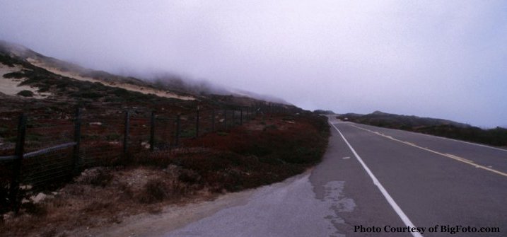 Foggy Road