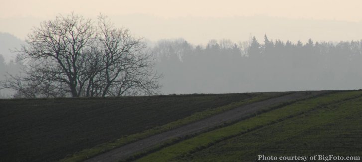 Morning Fog